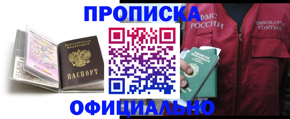 прописка 2025 в Елизово