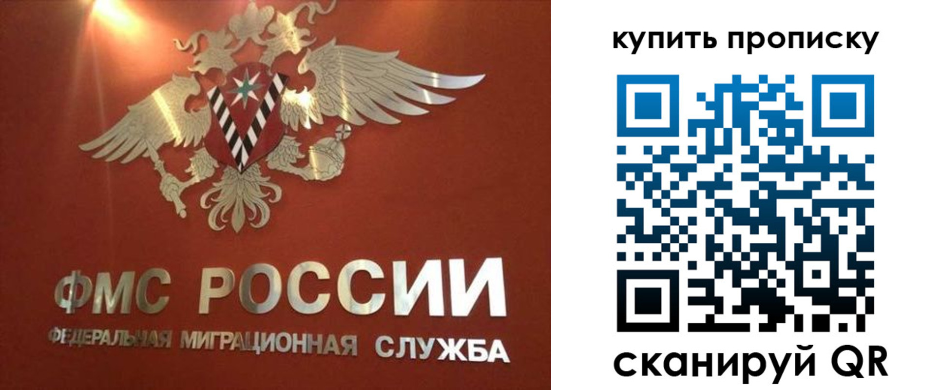 прописка для работы в Елизово